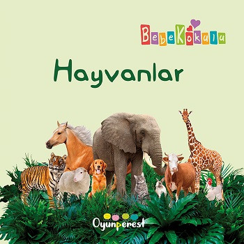 Kita Kitap