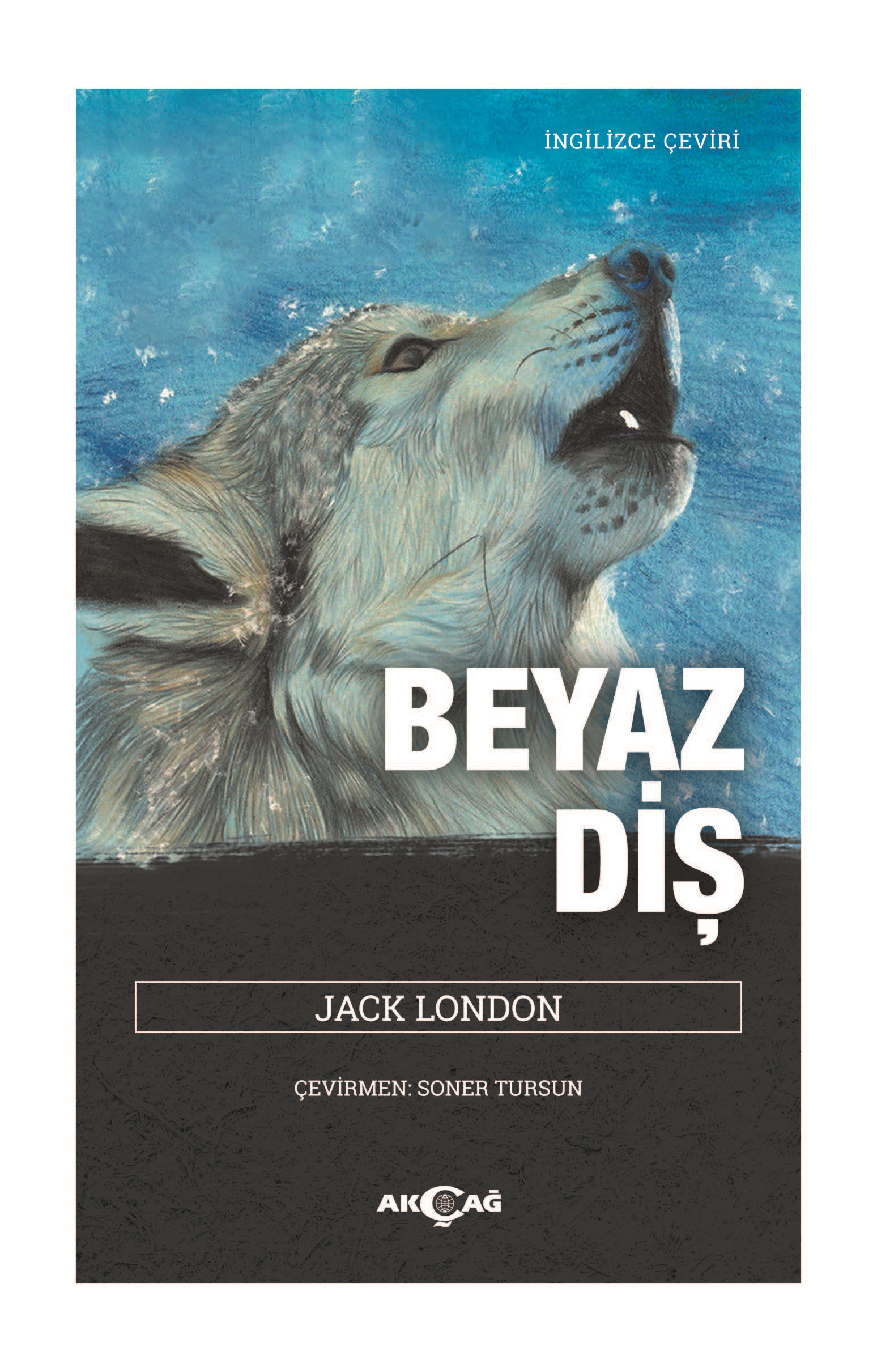Kita Kitap
