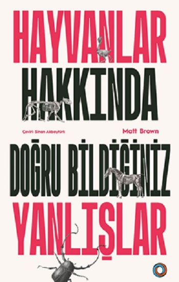 Kita Kitap