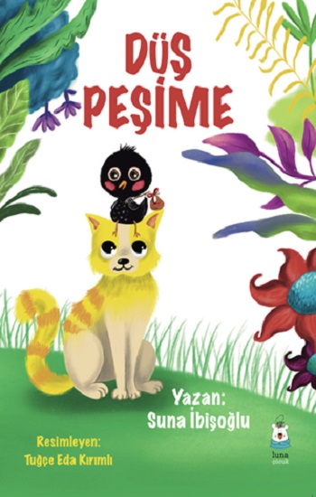 Kita Kitap