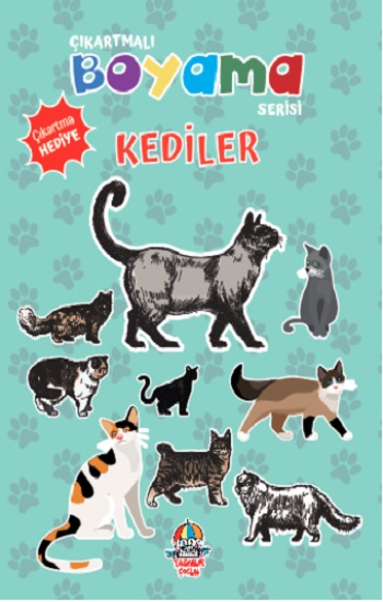 Kita Kitap
