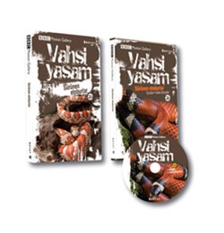 Kita Kitap
