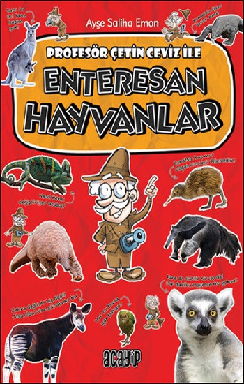 Kita Kitap