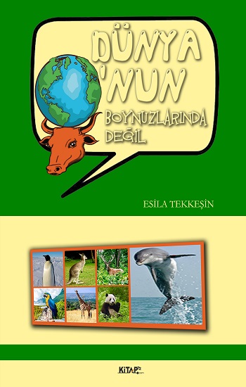 Kita Kitap