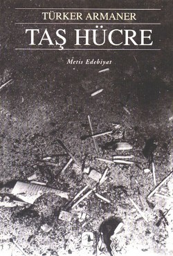 Taş Hücre
