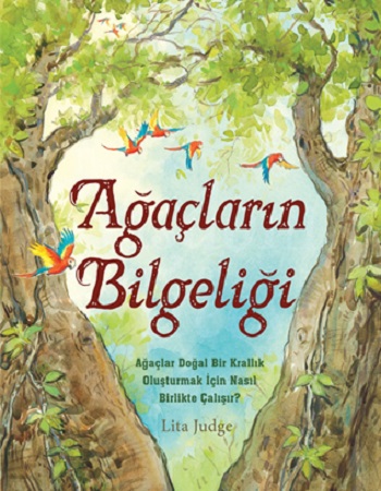 Kita Kitap