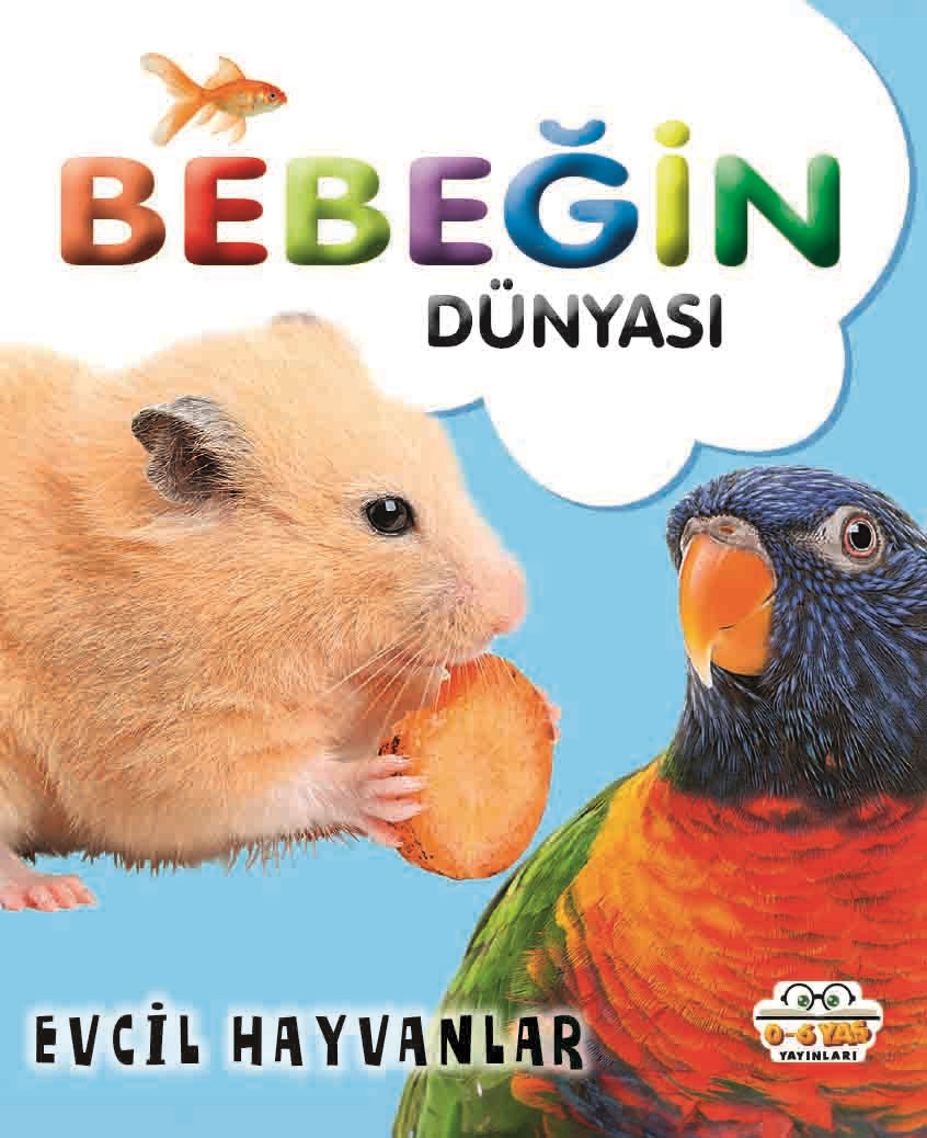 Kita Kitap