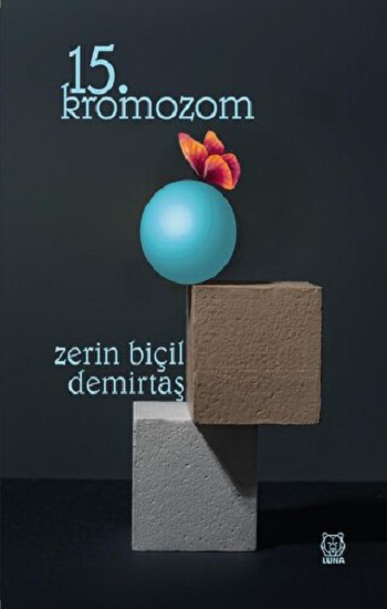 Kita Kitap