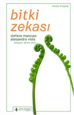 Bitki Ulusu