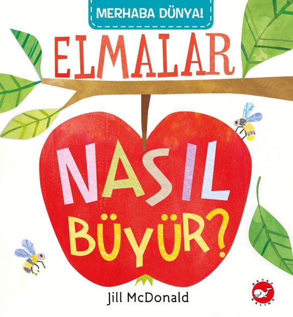 Kita Kitap