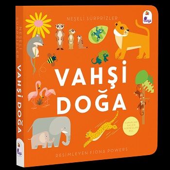 Kita Kitap