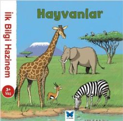 Kita Kitap