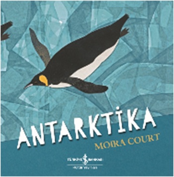 Kita Kitap