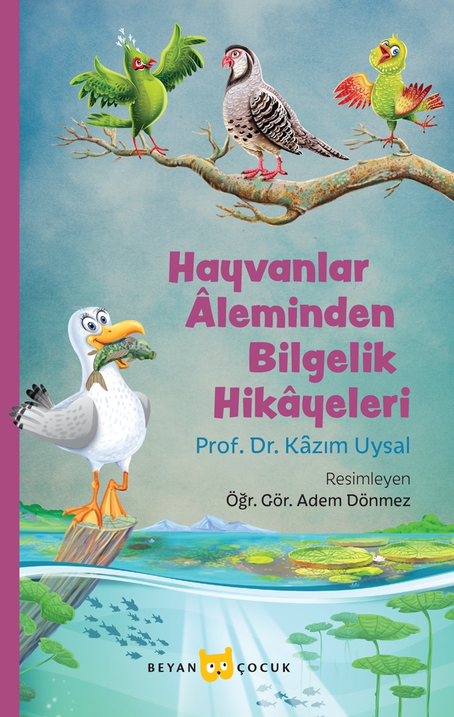 Kita Kitap