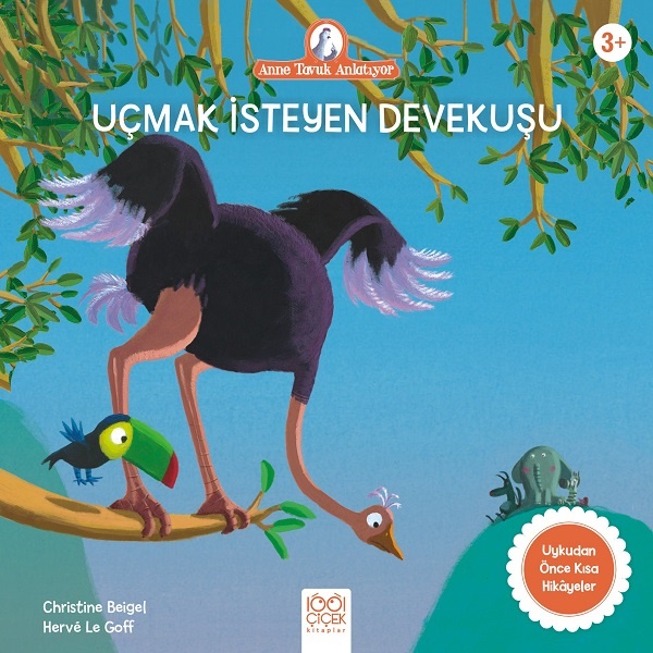 Kita Kitap