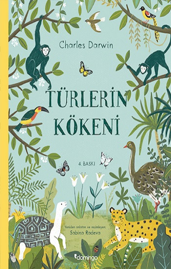 Kita Kitap