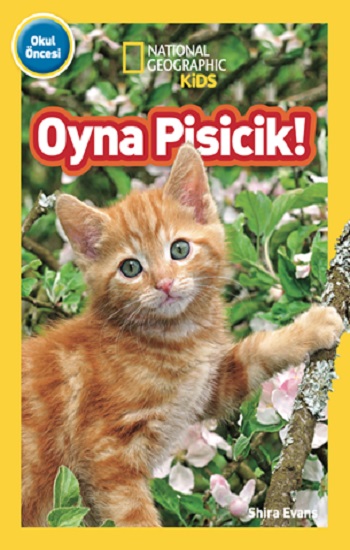 Kita Kitap