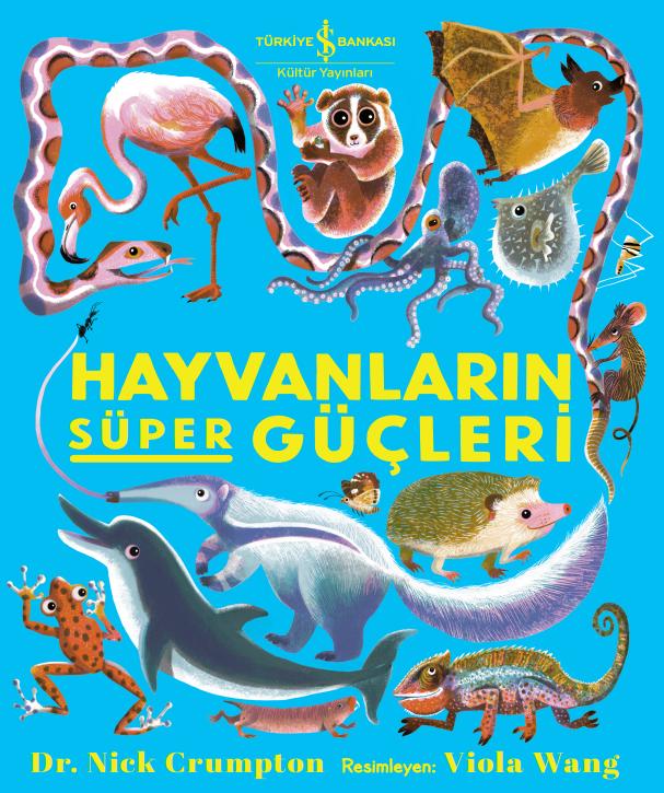 Kita Kitap