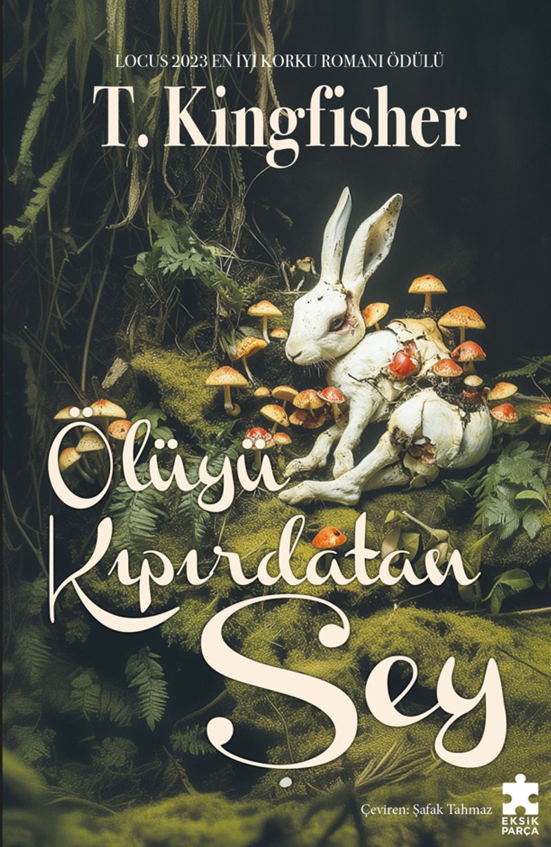 Kitap Yurdu