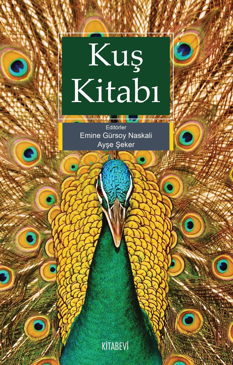 Kitap Yurdu