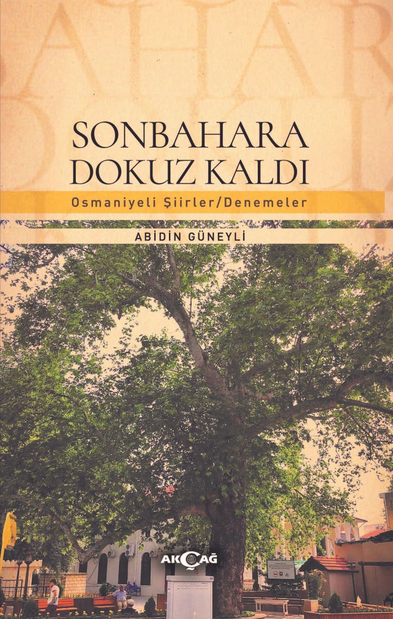 Sonbahara 7 Kaldı