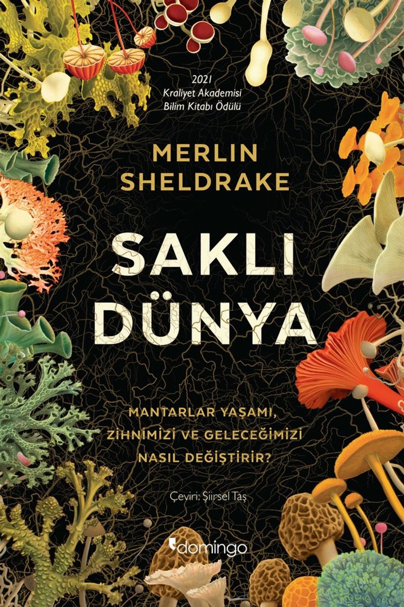 Saklı Dünya