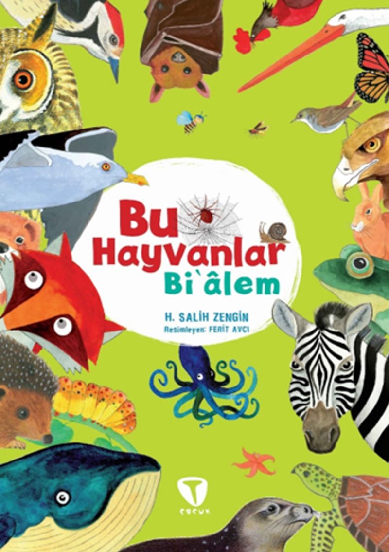 Kitap Yurdu
