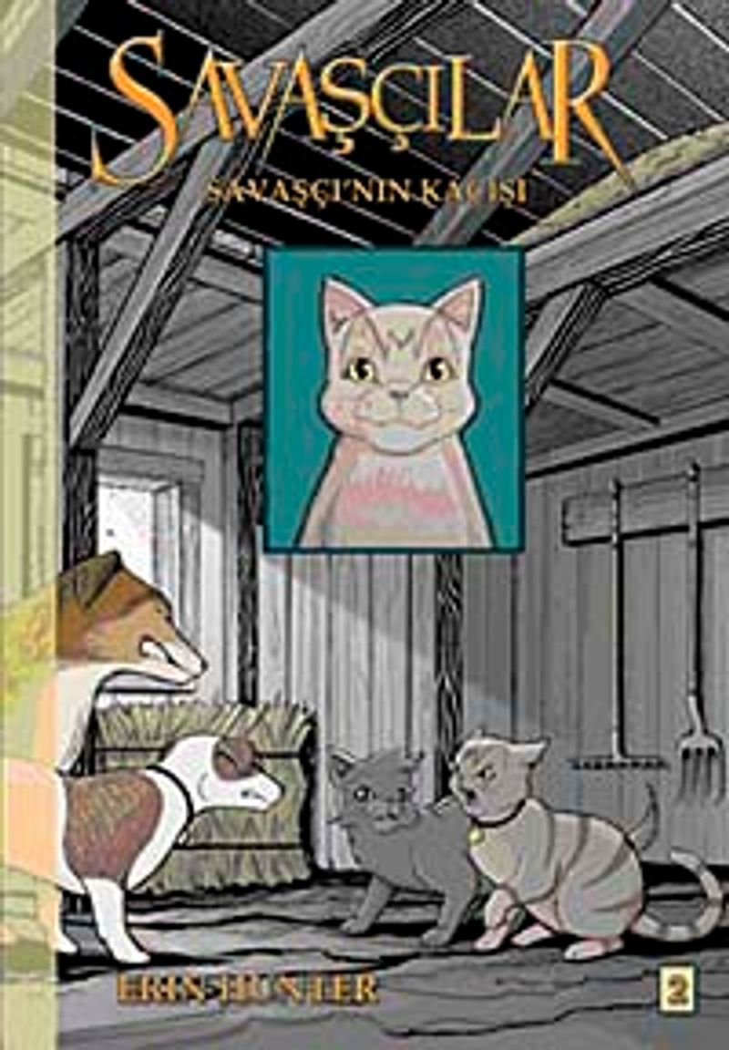 Kitap Yurdu