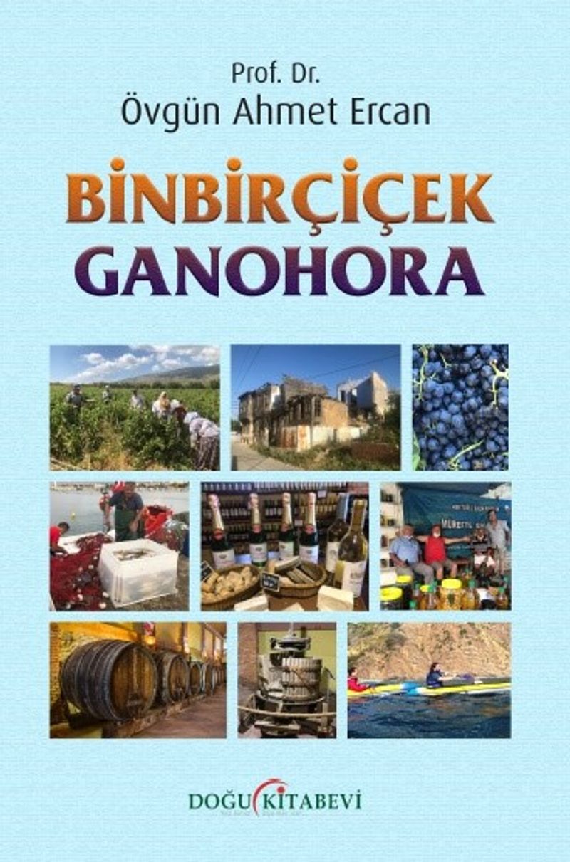 Kitap Yurdu