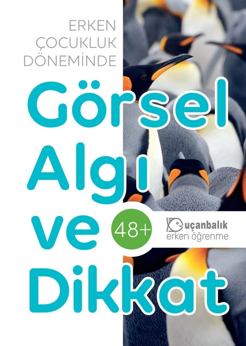 Erken Çocukluk Döneminde Görsel Algı ve Dikkat 48 Ay
