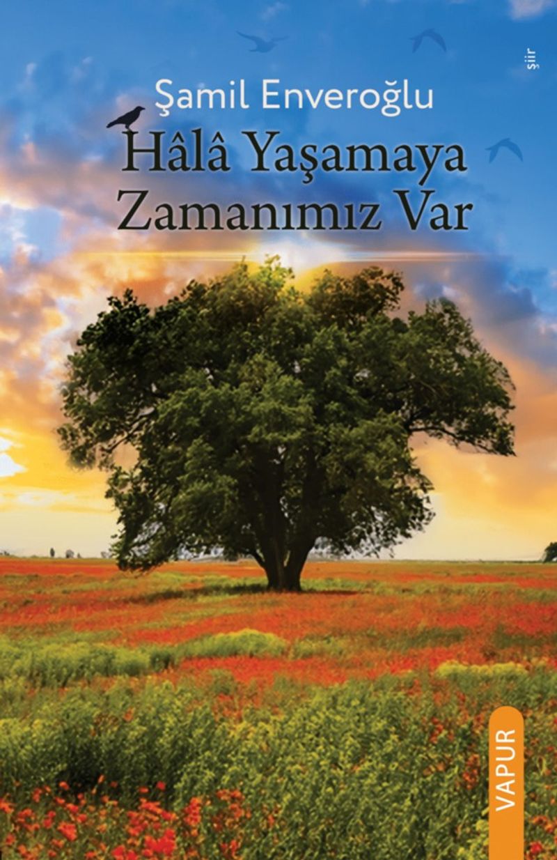 Kitap Yurdu