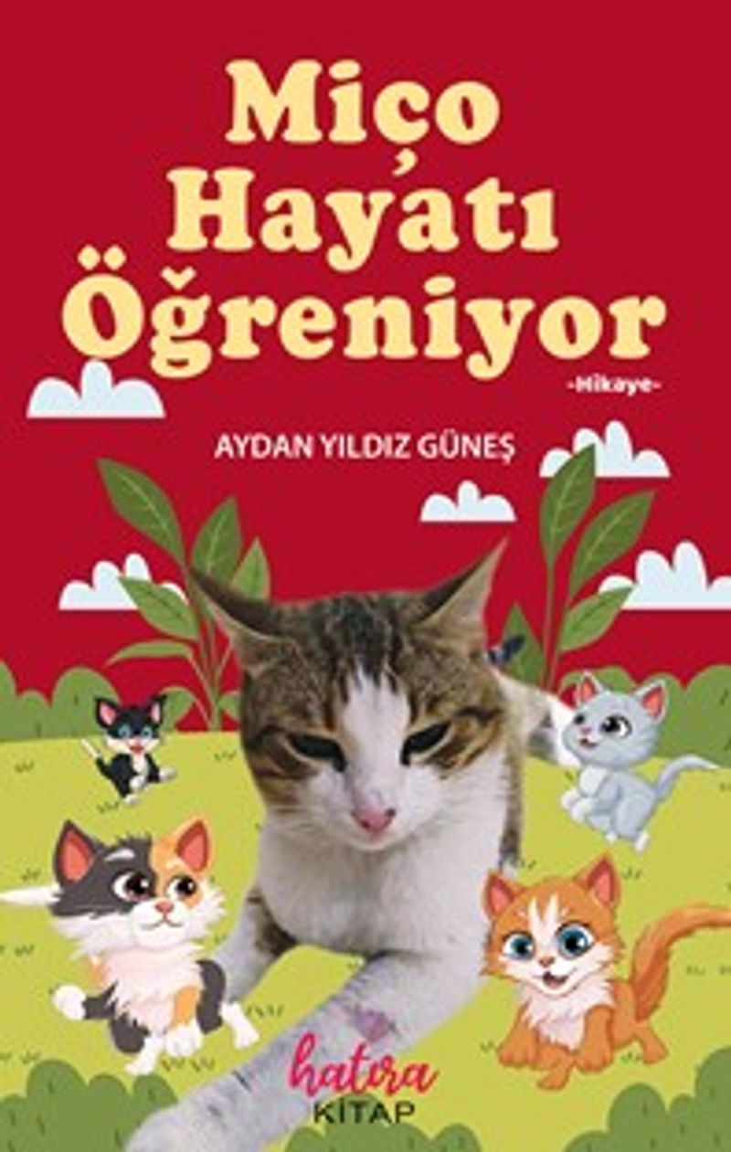 Kitap Yurdu
