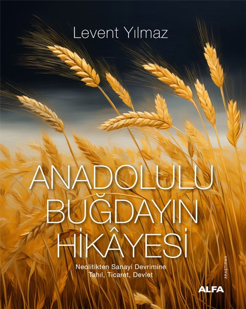 Kitap Yurdu