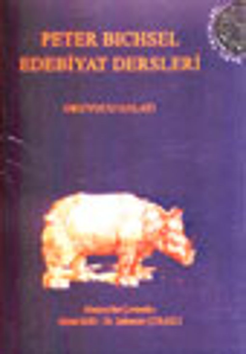 Edebiyat Dersleri Okuyucu Anlatı Frankfurt Dersleri