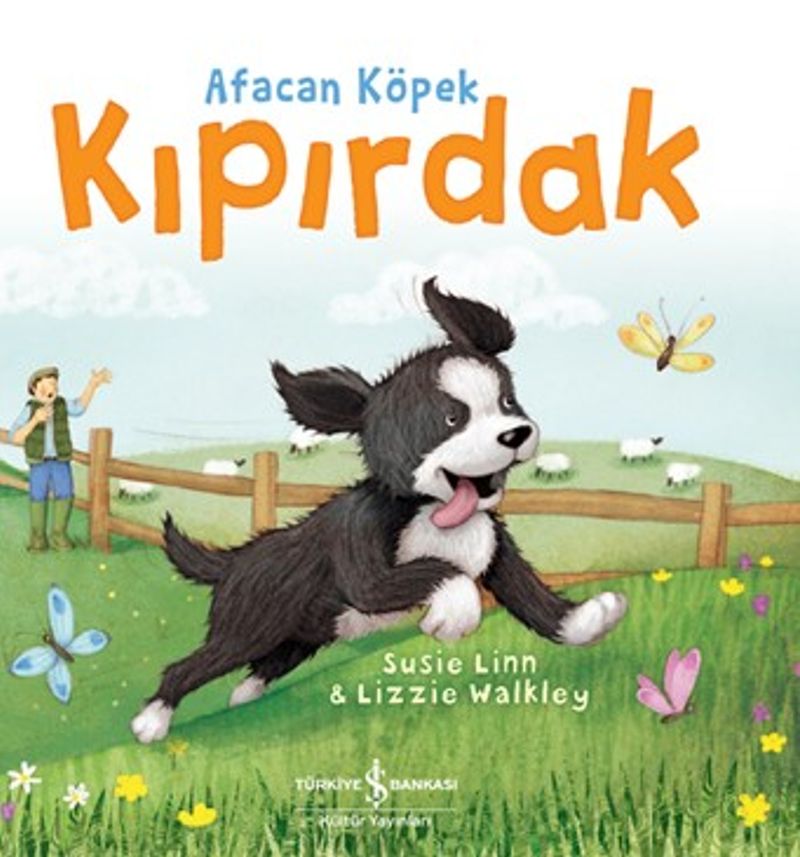 Kitap Yurdu
