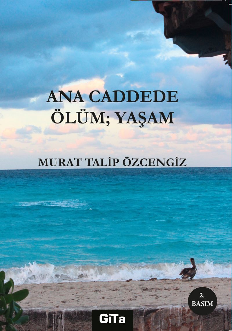 Kitap Yurdu