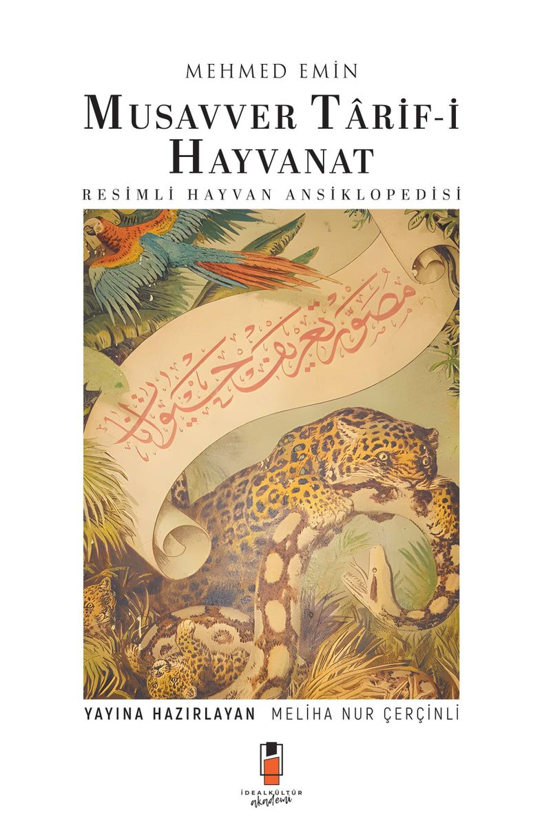 Kitap Yurdu