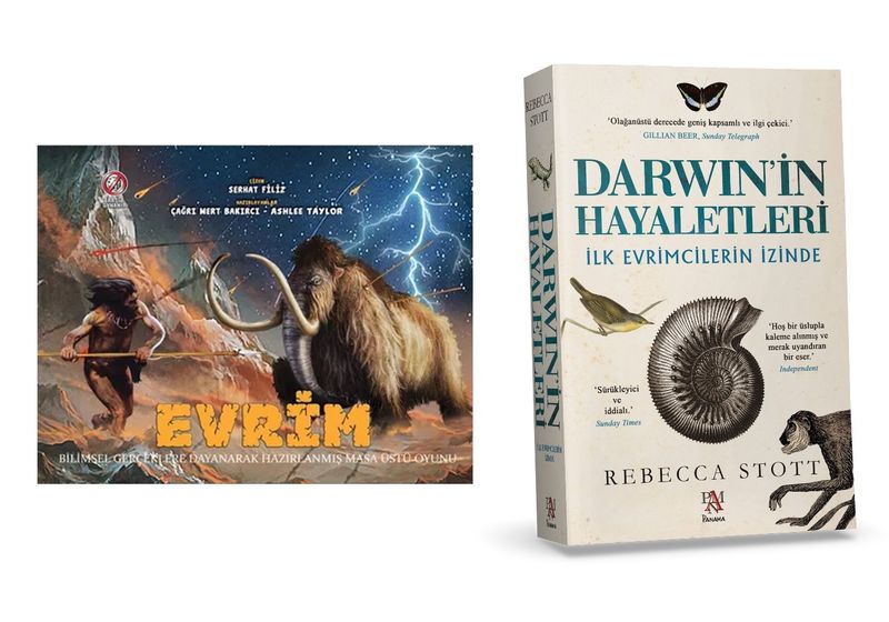 Evrim Seti 1 Oyun 1 Kitap