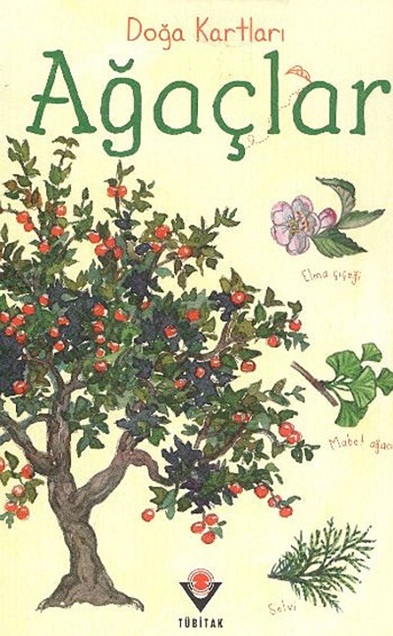 Doğa Kartları Ağaçlar