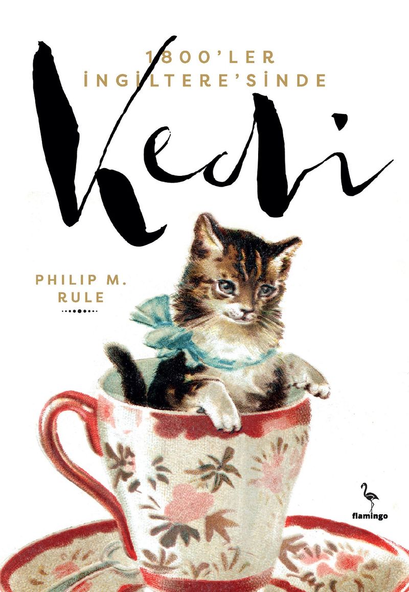 1800 ler İngiltere sinde Kedi