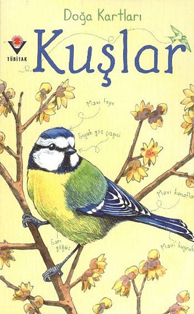 Kitap Yurdu
