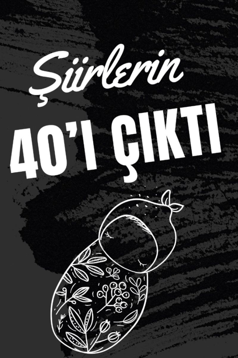 Şiirlerin 40 ı Çıktı