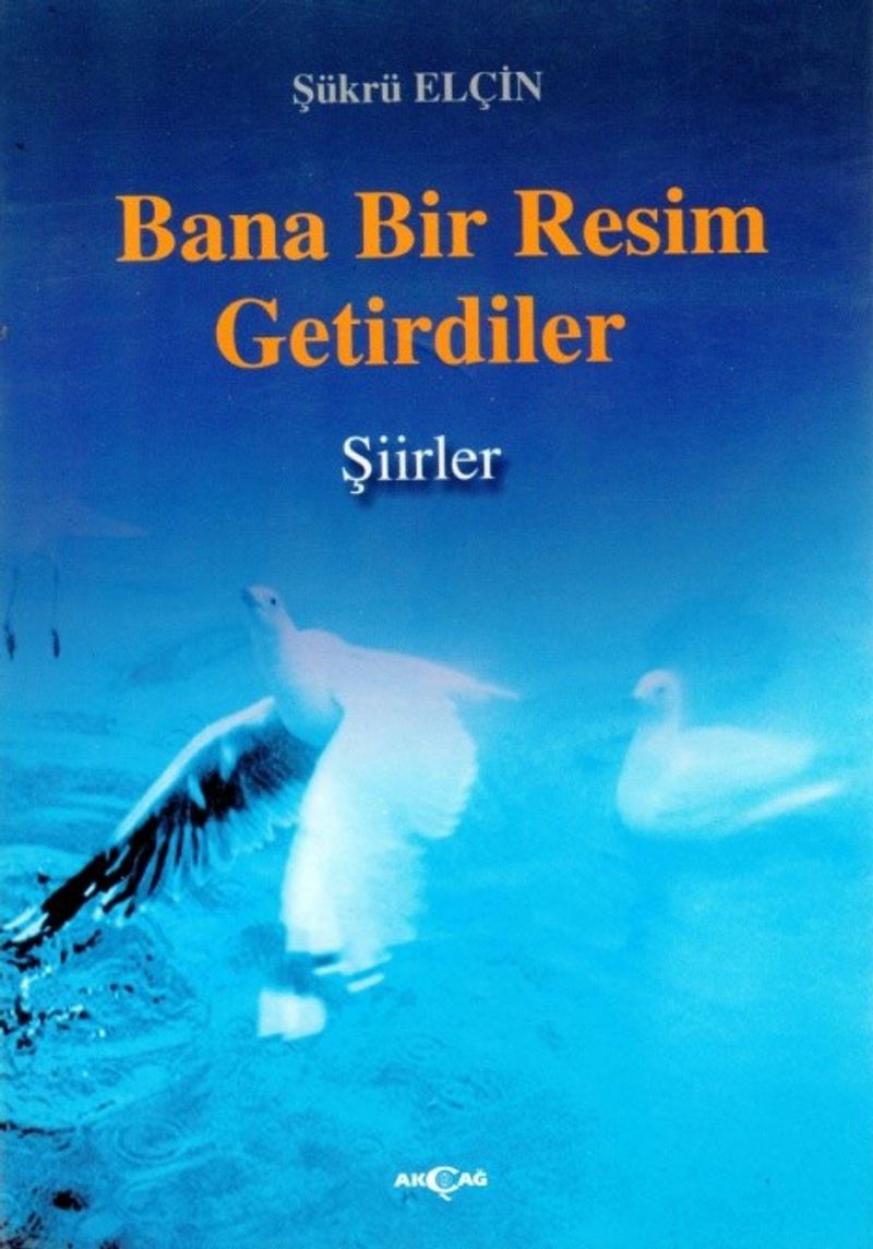 Kitap Yurdu