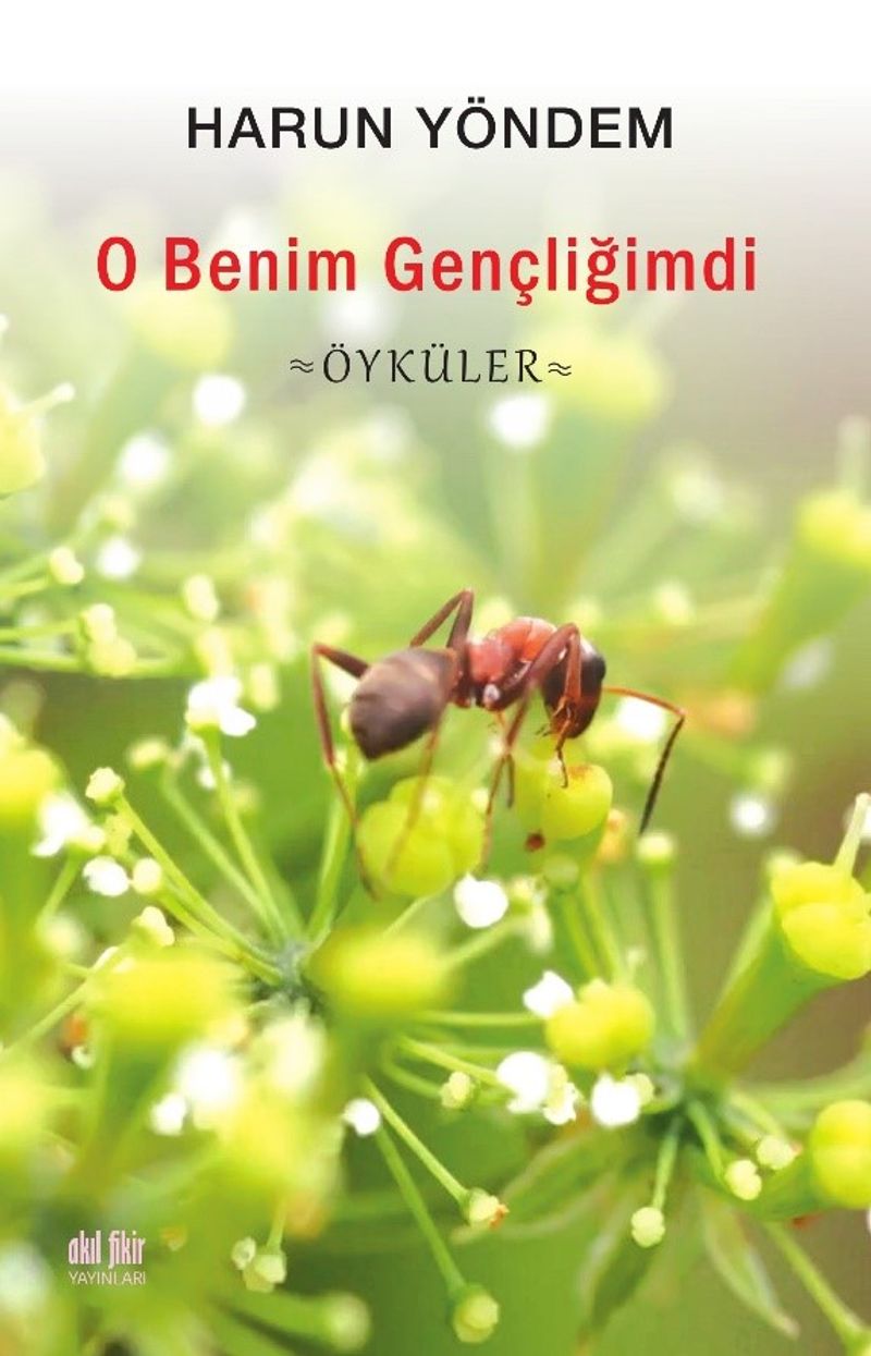 Kitap Yurdu