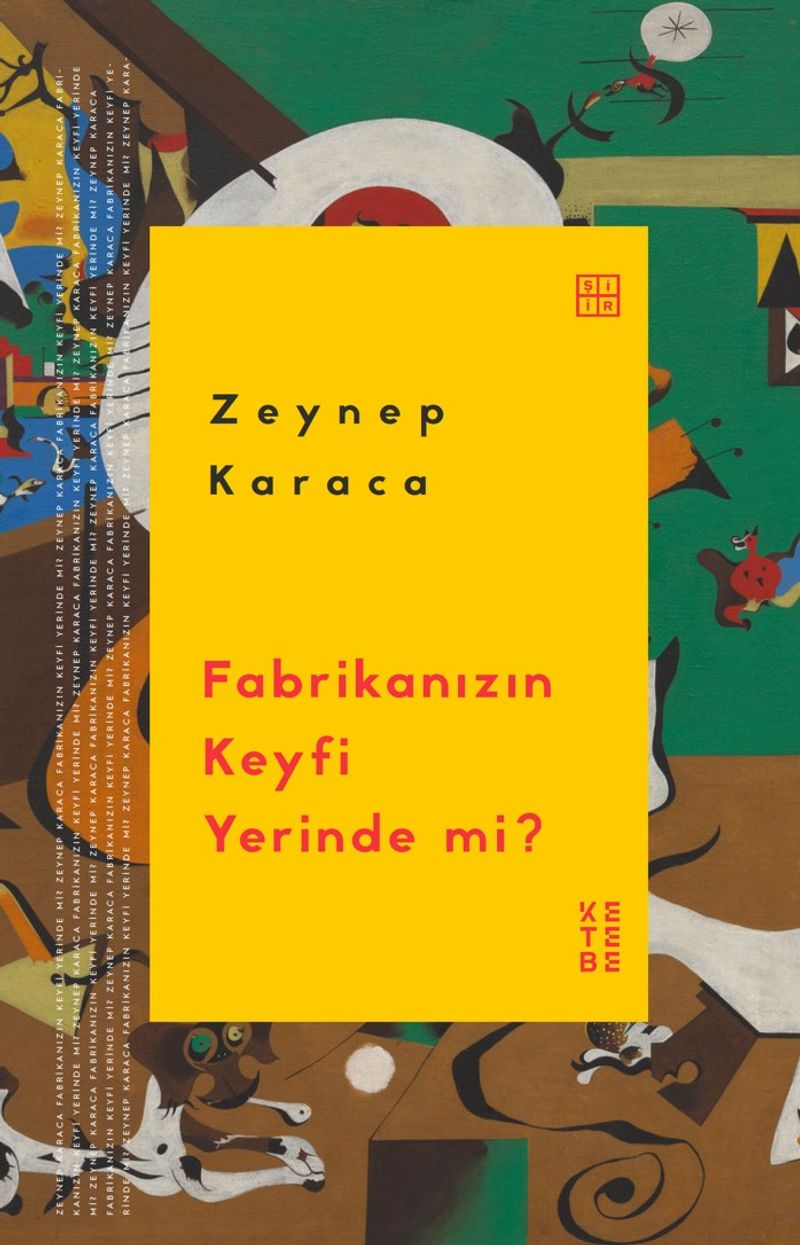 Kitap Yurdu