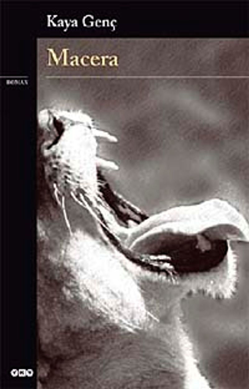 Kitap Yurdu