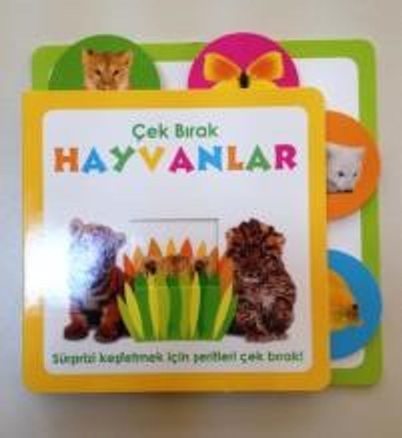 Kitap Yurdu