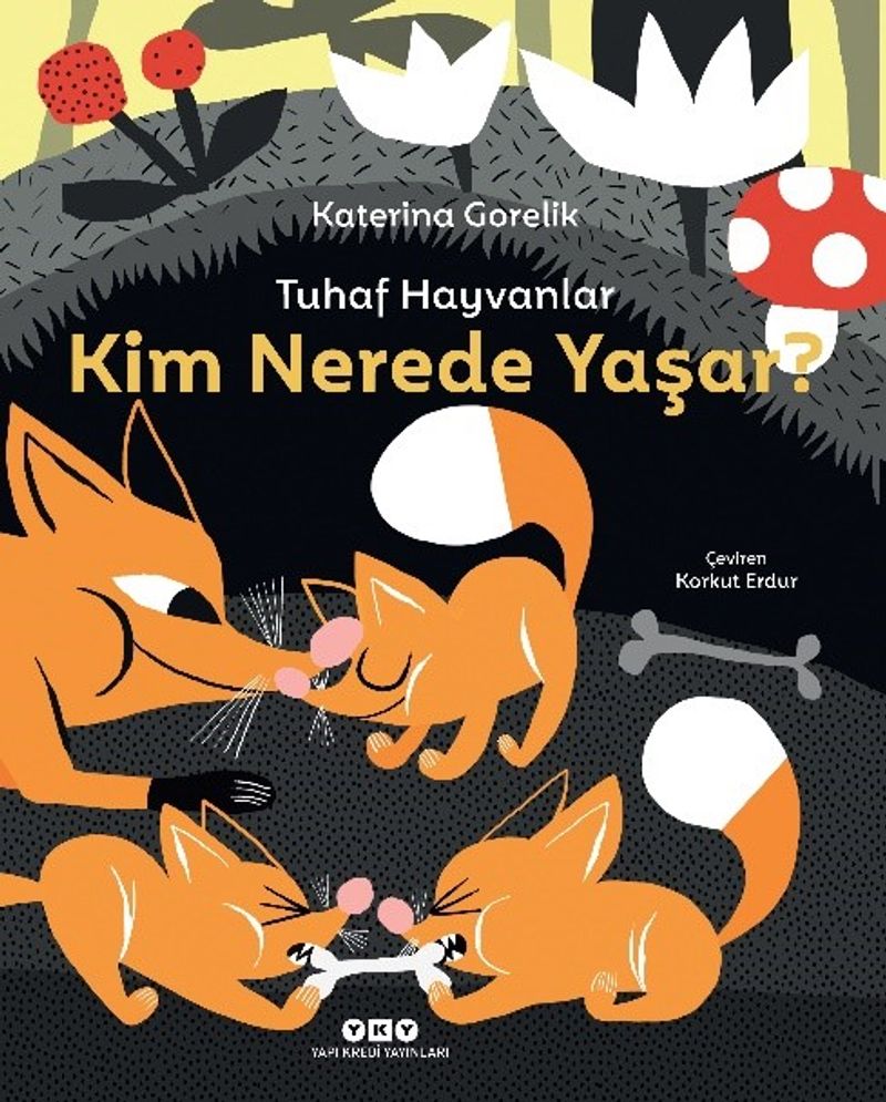 Kitap Yurdu