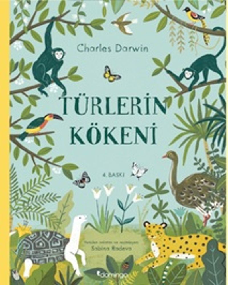 Kitap Yurdu