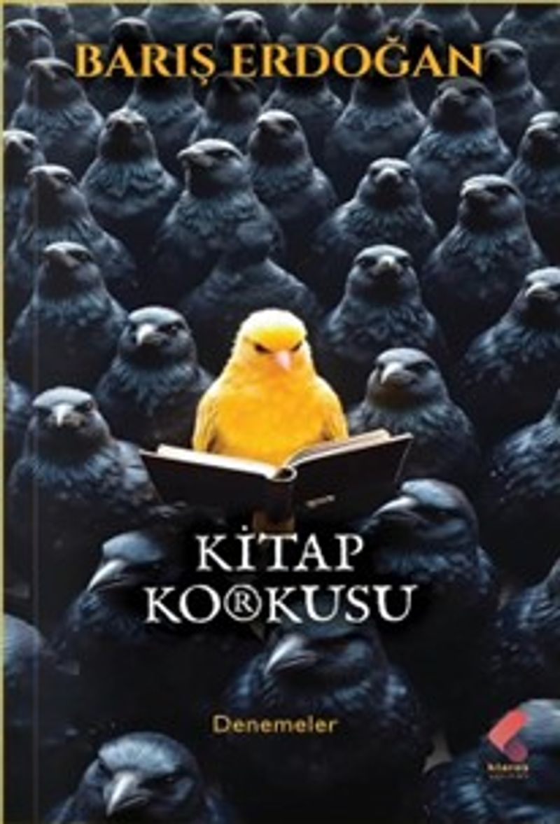 Kitap Yurdu